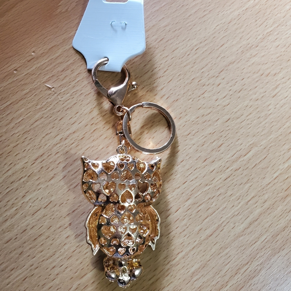 Owl Turquoise Rhinestone Studded Keychain - Picture 5 of 5